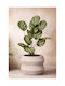 Calathea Potted Plant 55cm 30x30x55cm Monochrome Kaeming