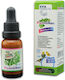 Evia Parrots Ριγανέλαιο 20ml