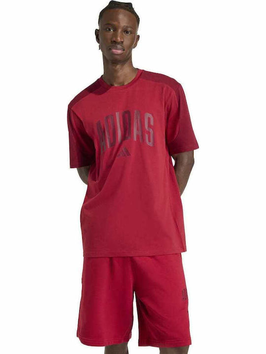 adidas Collegiate T-shirt Μπορντο