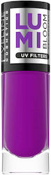Eveline Nagellacke 8ml Eveline Nagellacke 8ml