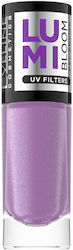 Eveline Nagellacke 8ml Eveline Nagellacke 8ml