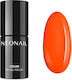 Neonail Matt Nagellacke Lang anhaltende Politur Schnelltrocknend Orange