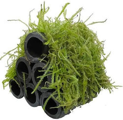 Java Moss Shrimp Shelter 10x7x6cm Φπ