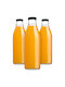 Kadax Glas Wasserflasche mit Schraubdeckel Transparent 1000ml 3 Stücke