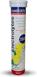 Lamberts Electrolytes 13 αναβράζοντα δισκία Lamberts Electrolytes 13 αναβράζοντα δισκία