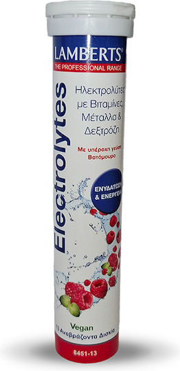 Lamberts Electrolytes Blueberry 13 Effervescent Tablets