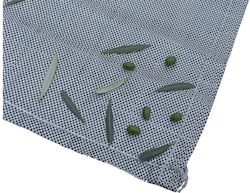 Olive Sail