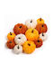 Σετ Διακοσμητικά Ζωάκια από Πλαστικό Artificial Pumpkins 12τμχ
