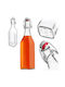 Kadax Glas Wasserflasche mit Clip Transparent 500ml 5 Stücke