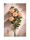 Κλαδι Τριανταφυλλιας Salmon Ivory Λουλουδια 0x0x103cm Μονόχρωμο Evergreens
