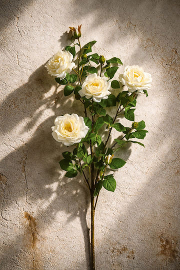 White Rose Branch Flowers 0x0x103cm Monochrome Evergreens