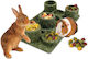 Jr Farm Jr Back To Instinct Amusement Park 18 × 28 × 5 Cm