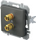 Audio- und Video-Steckdosen RCA 2xrca At Xo Logiq