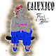 Calexico Feast Wire Vinyl