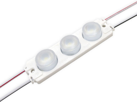 LED Модул 3L SMD3030 IP65 2.5W 12VDC 10x65D 3000K