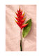 Λουλουδι Ελικονια 88cm 0x0x88cm Μονόχρωμο Evergreens
