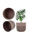 Kadax Ghiveci De Flori Din Plastic Bej 13x13cm