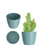 Kadax Γλάστρα Πλαστική Green 11x11εκ.