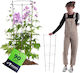 Suport Inelar Pentru Plante Flori 90 Cm Cercuri...
