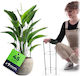 Suport Inelar Plante Flori 45 Cm Cercuri De Sup...