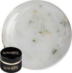 Uv Gel Nail Construction Revoflex Silk Petal Lu...