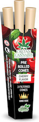 Cretan Cannabis Μηχανάκι Cretan Cannabis Μηχανάκι