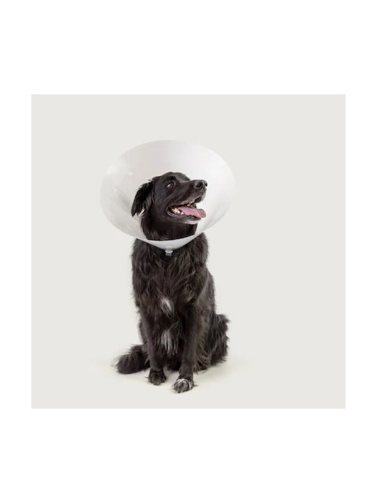 Kvp Betsy Elisabetian Hundehalsband Hund Small-28-31cm