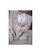 Poster Art Print Eurographics 70x100