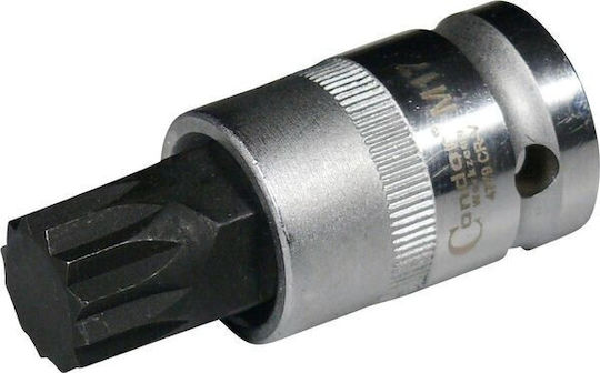 Condor Priză Socluri Cu Canelură Cu Gazdă Cadru 1/2"
