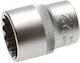 Condor Socket with Frame Host 1/2" Diameter 22mm