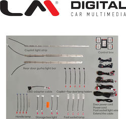 LM Digital RGB
