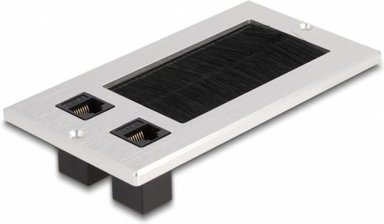 Delock Netzwerksteckdose Pinsel 2 X Rj45 Cat 6 Aluminium Delock 66896 Mehrfarbig