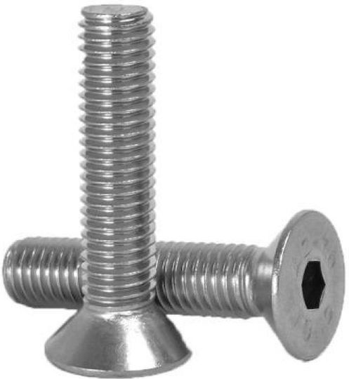 Inox Inox Allen Screw with Diameter M4 and Length 30mm