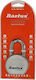 Steel Padlock Brass with Key 65mm