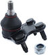 Master-Sport Frontsystem für Audi A2 A3 A4 A6 A8 Tt 6q0407365a