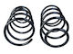 Maxgear Car Suspension Spring Volvo Front C30 1.6 06-12 Ra1101