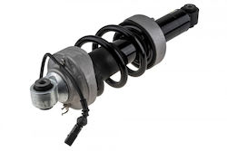 Αμορτισέρ Audi R8 2007-2015 4.2l Coupe Audi R8 2007-2015 5.2l Coupe Audi R8 Spyder 2010-2015 4.2l Convertible Αμορτισέρ Audi R8 2007-2015 4.2l Coupe Audi R8 2007-2015 5.2l Coupe Audi R8 Spyder 2010-2015 4.2l Convertible