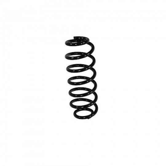 Fast Buds Car Suspension Spring Peugeot 307 00 Rear