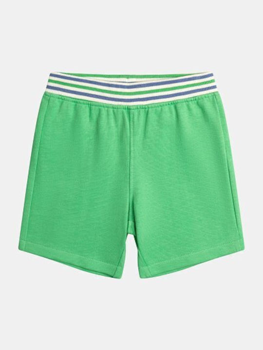 Sport Kids Shorts Bermudas Green