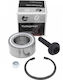 Set Rulmenți De Roți Ford Galaxy I Scaun Alhambra VW Sharan 7m0498625