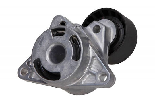 Τεντωτήρας Ιμάντα Renault Σφήνας 2,5dci Master Master 55610mg Τροχαλία Ts-103