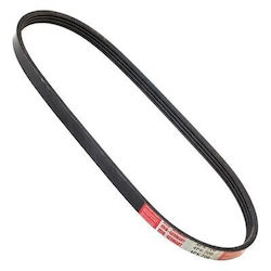 Πολυραβδωτός Ιμάντας Master-sport Daewoo Kalos Daihatsu Cuore Panda Isuzu D-max Micra Swift 25183066
