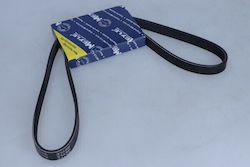 Curea Polirib 5pk1115 Mb917985 Curea Polirib 5pk1115 Mb917985