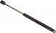 Amortizoare Geam Spate Citroen C3 Pluriel 03 8731-j4