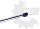 Amortizoare Portbagaj Hyundai Atos Mx 8177002030