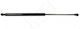 Bonnet Shock Absorber for Boot Door Peugeot 307 2000 7925.15