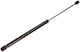 Maxgear Motorhauben-Stoßdämpfer Für Volkswagen Golf 3 103163