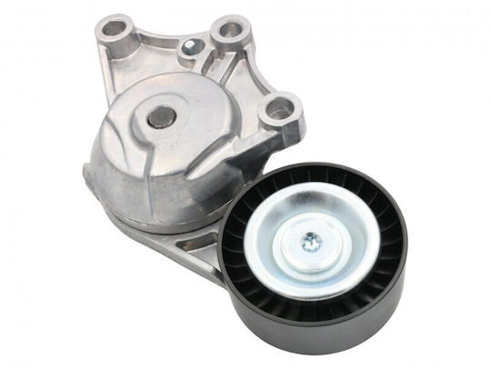 Mikrotalantotis Curea Citroen Berlingo 08 1.6 Hdi 16 114 261 80