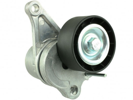 Micro Tensioner Belt Renault Master 10 Set 82 00 941 079