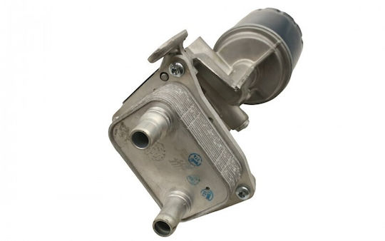 Citroen Jumper 06 2.0 Blue Hdi 9807594380 Auto-Kühlschränke Motor